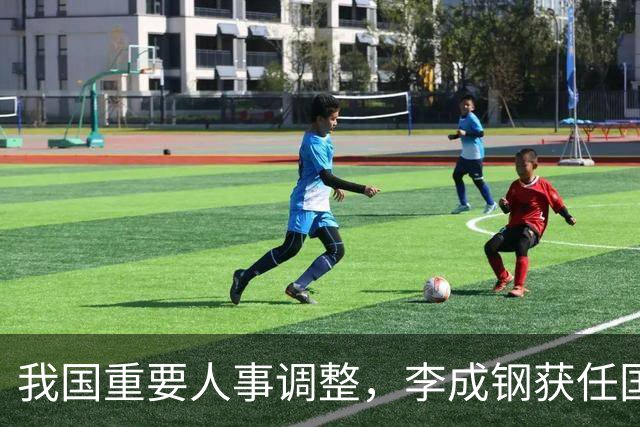 我国重要人事调整，李成钢获任国际贸易谈判代表，传递重要信号